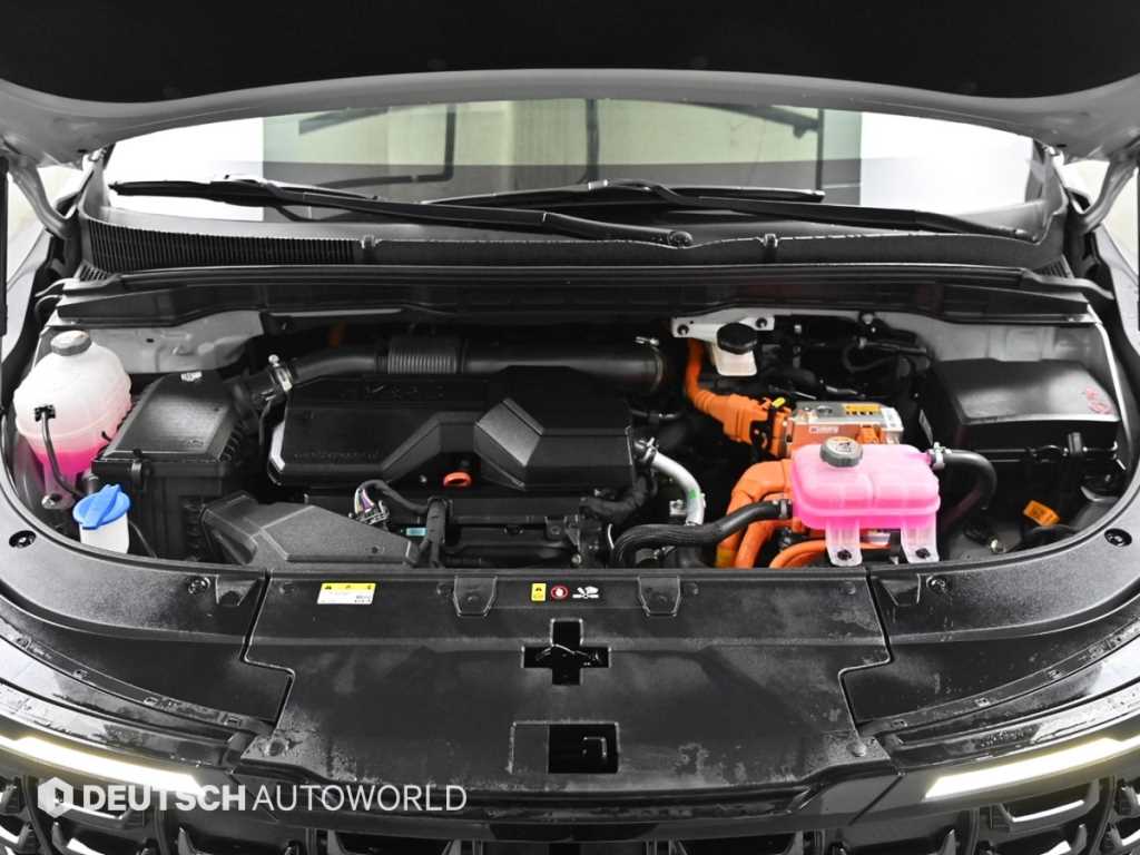 KIA Carnival - Vista 6