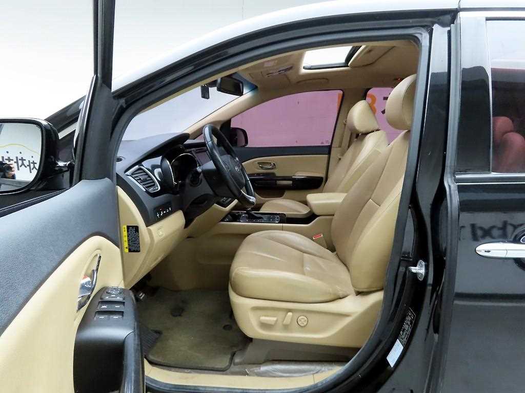 KIA Carnival - Vista 12