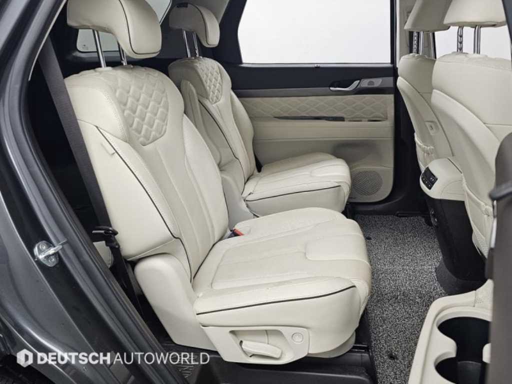 HYUNDAI Palisade - Vista 12