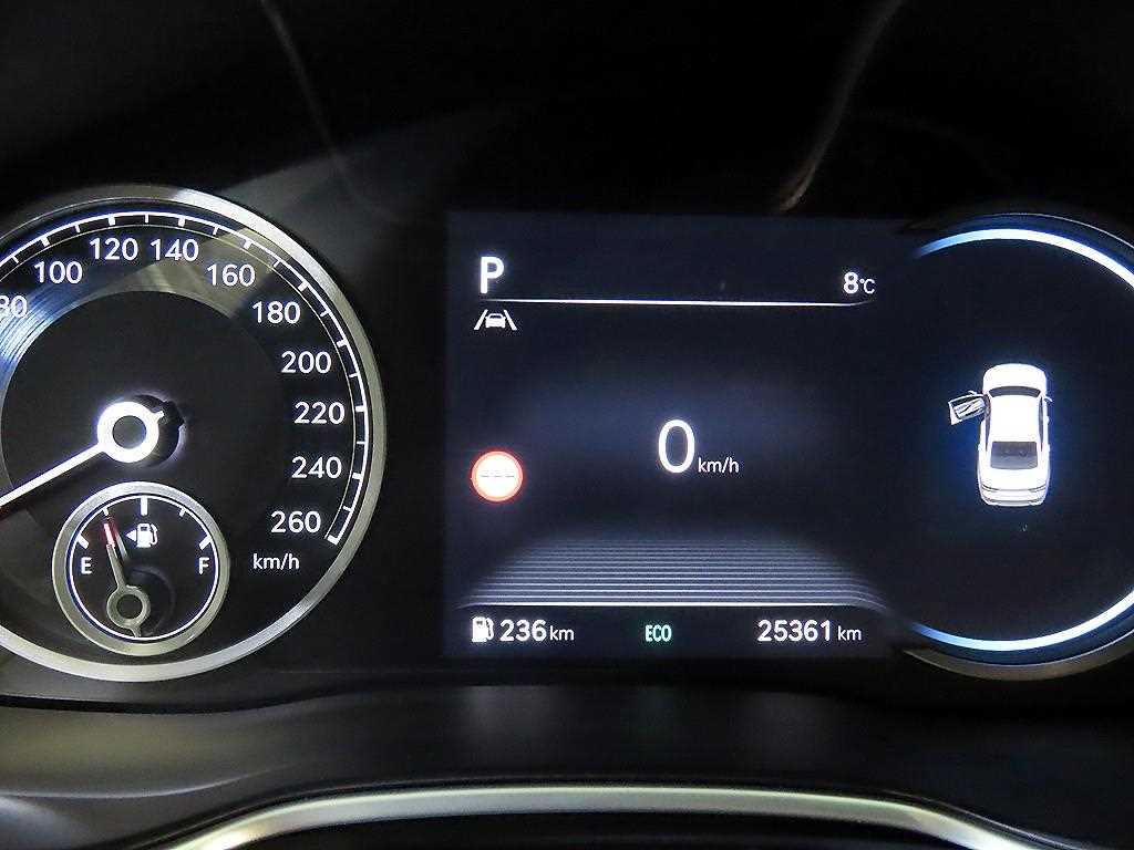 Genesis G80 - Vista 9