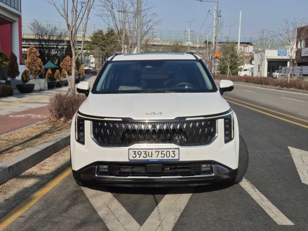 KIA Carnival - Vista 3