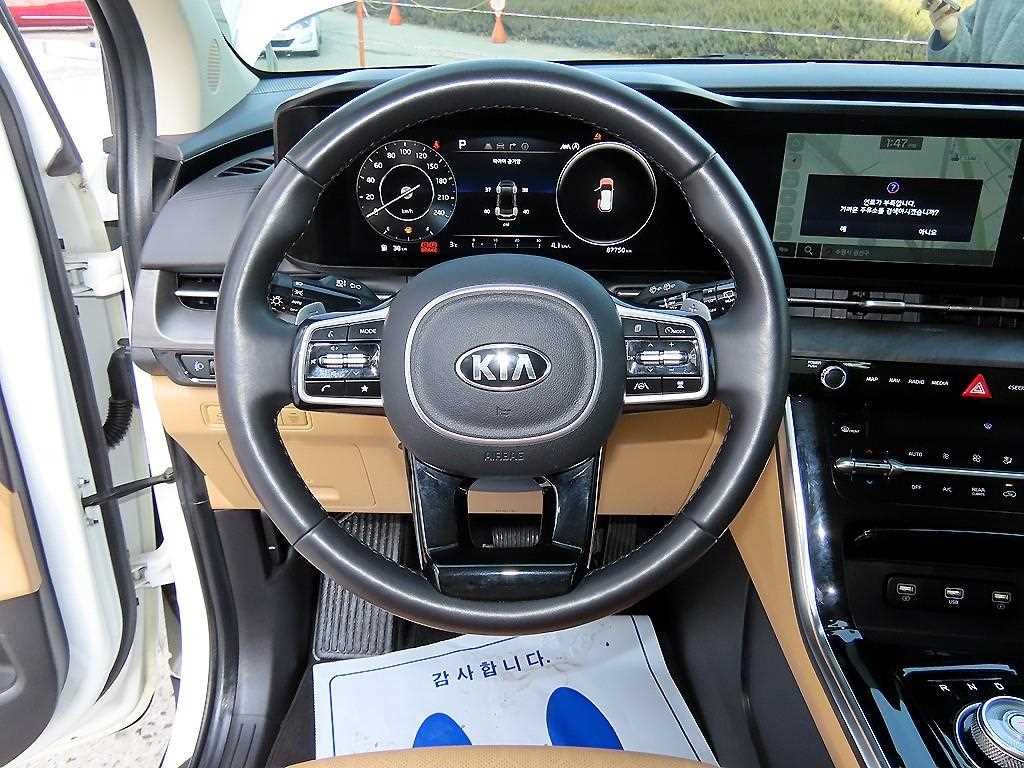 KIA Carnival - Vista 9