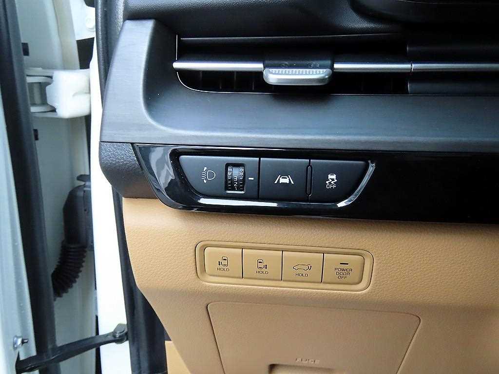 KIA Carnival - Vista 12