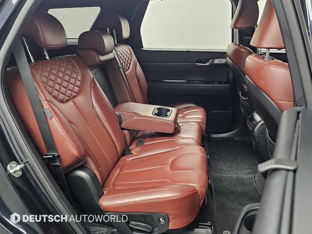 HYUNDAI Palisade - Vista 12