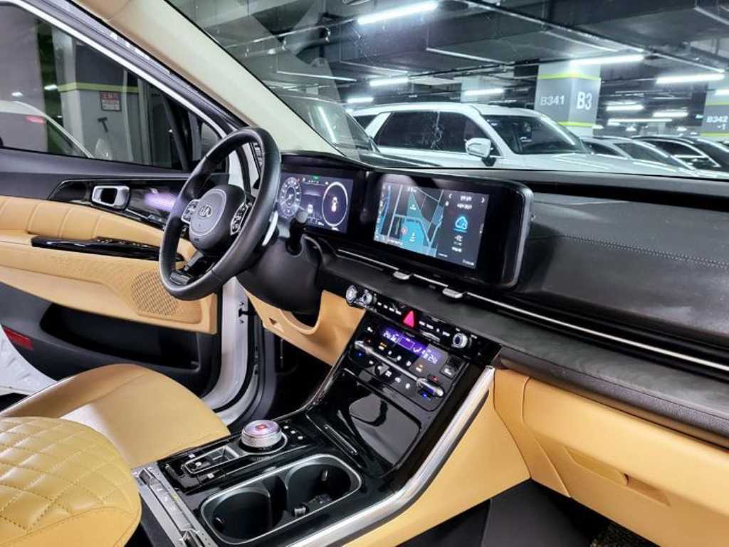 KIA Carnival - Vista 10