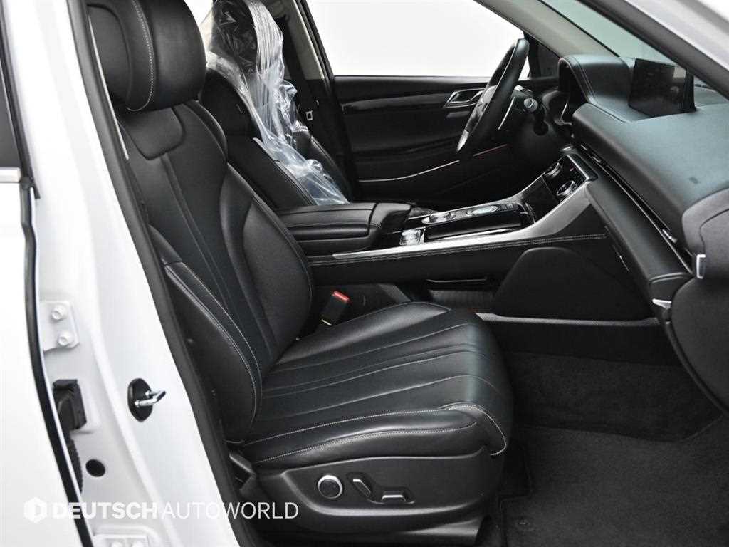 Genesis GV80 - Vista 10