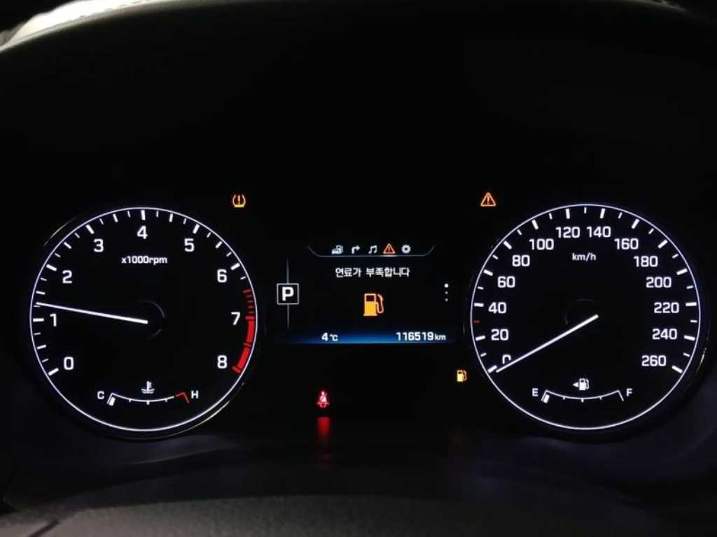 HYUNDAI Genesis - Vista 10