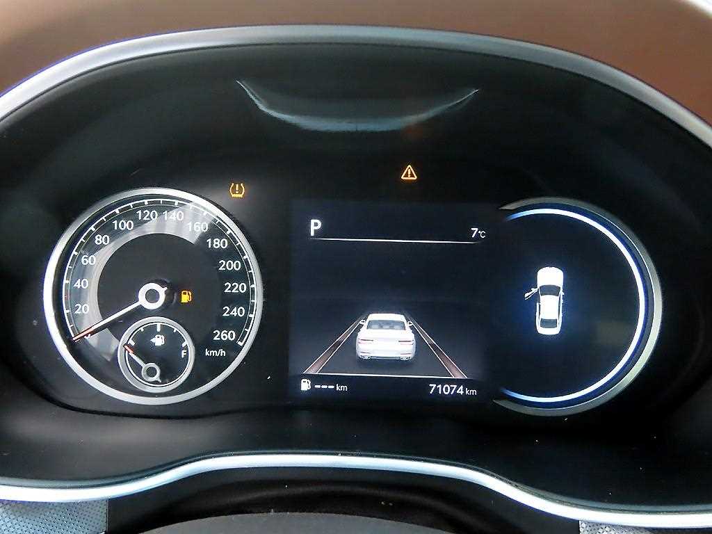 Genesis G80 - Vista 9