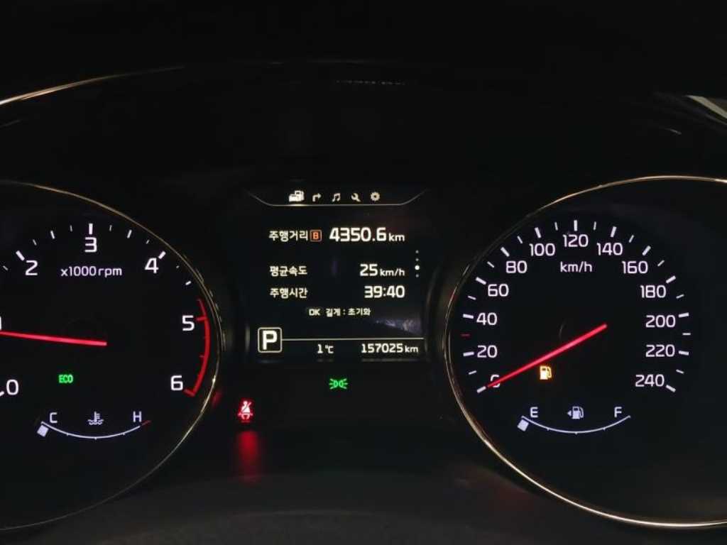 KIA Carnival - Vista 12