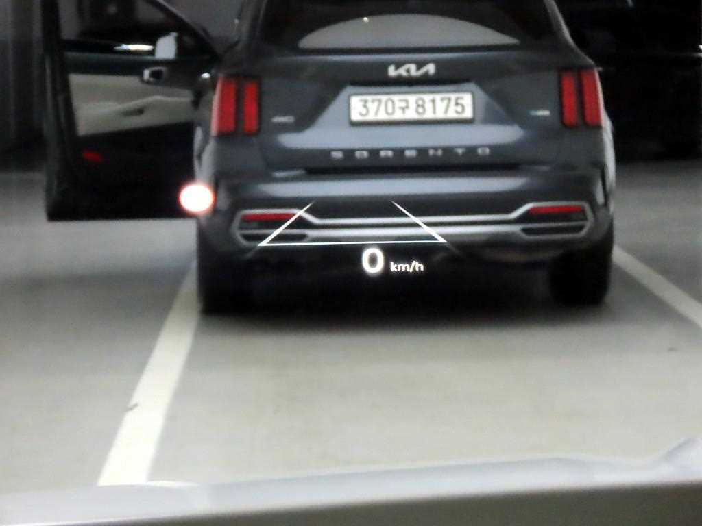 KIA Carnival - Vista 12