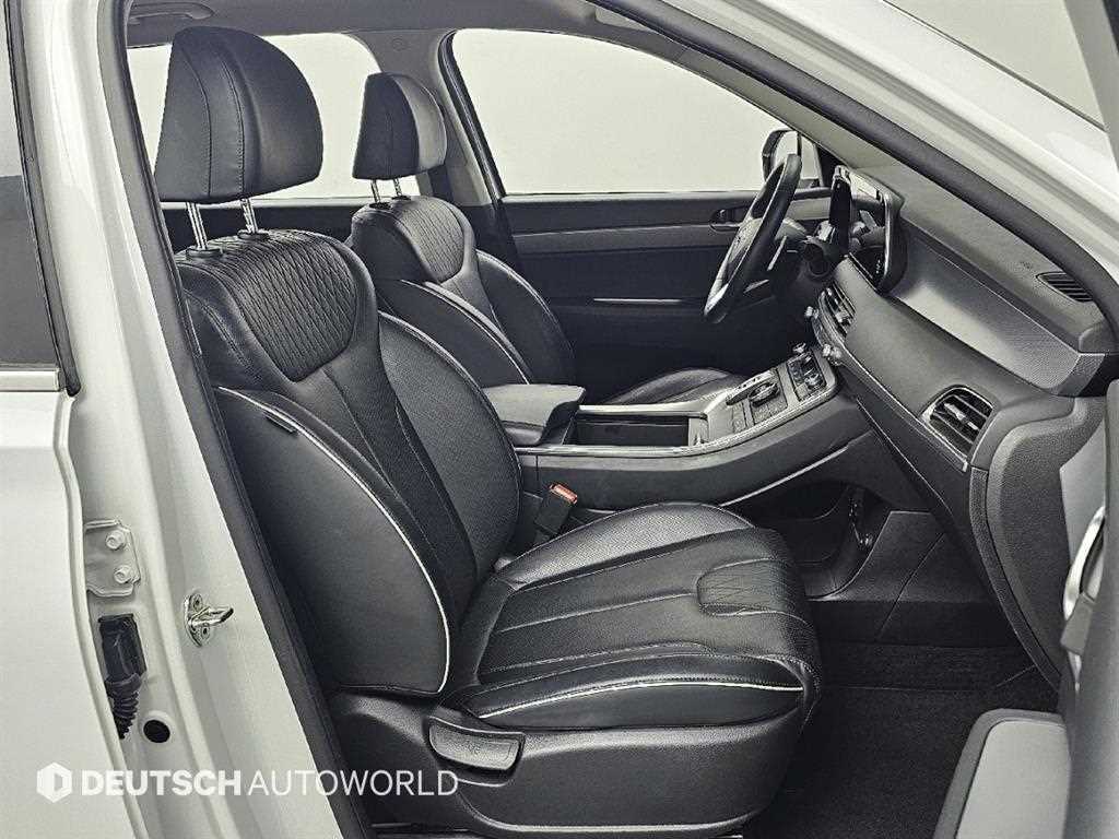 HYUNDAI Palisade - Vista 10