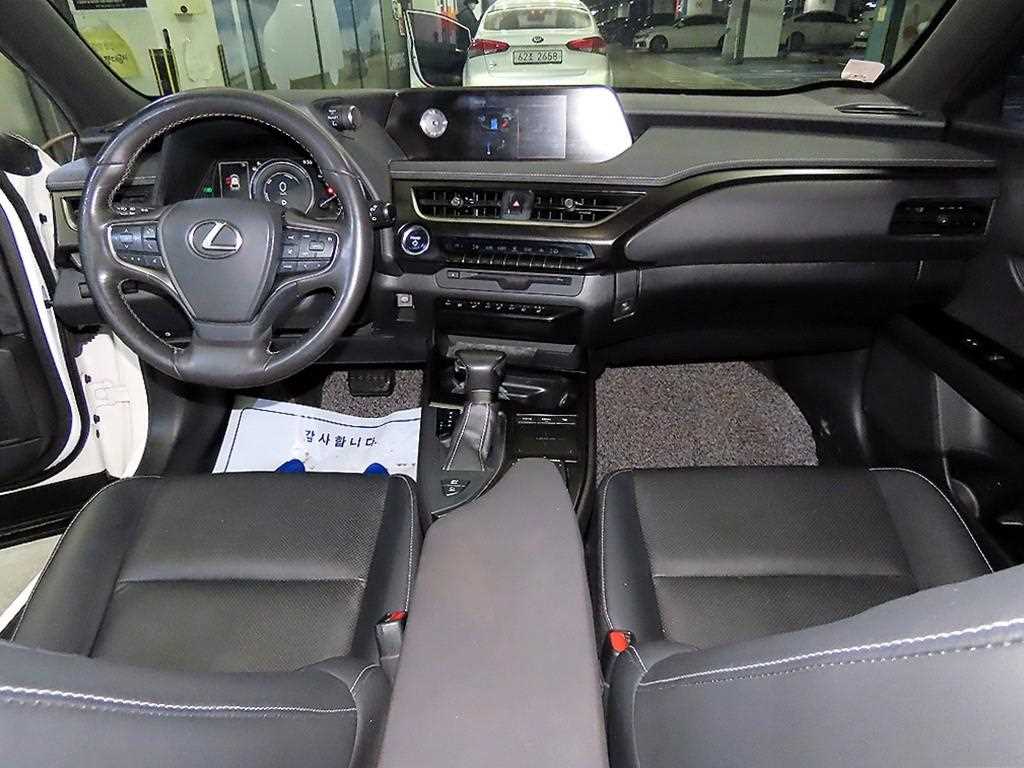 Lexus UX - Vista 10