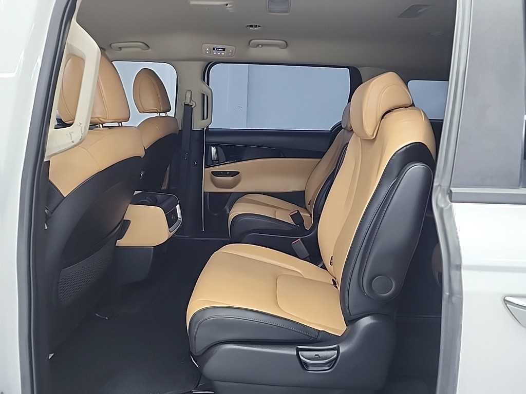 KIA Carnival - Vista 12