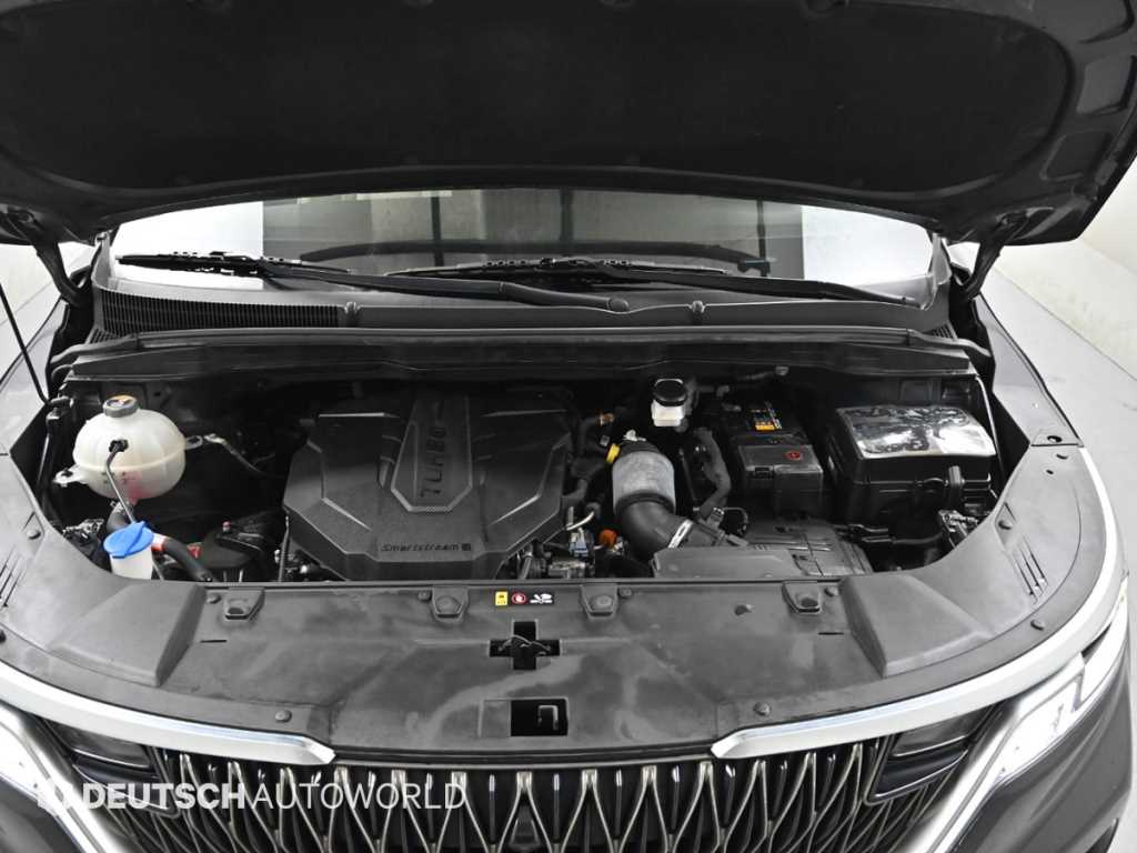 KIA Carnival - Vista 7