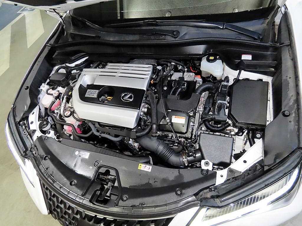 Lexus UX 2020 Blanco - Importación desde Corea - HF Imports Iquique - Foto 19