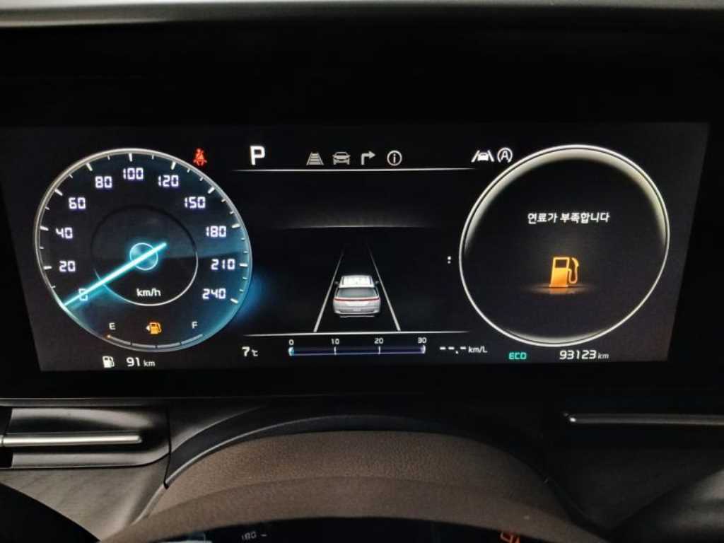 KIA Carnival - Vista 7