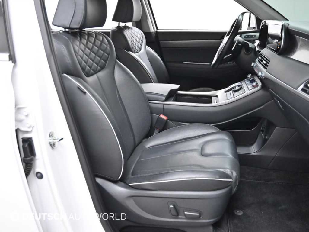 HYUNDAI Palisade - Vista 10