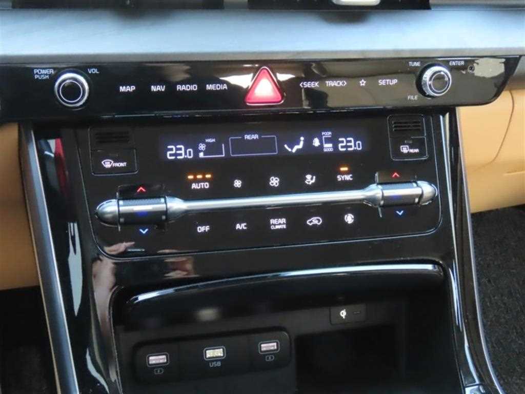 KIA Carnival - Vista 7