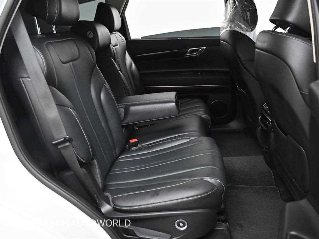 Genesis GV80 - Vista 12