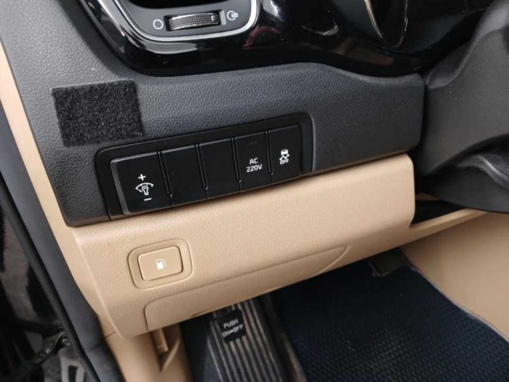 KIA Carnival - Vista 10