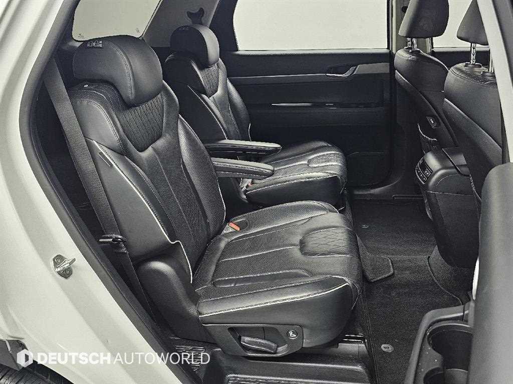 HYUNDAI Palisade - Vista 12