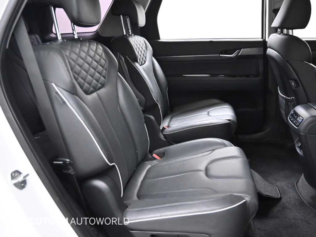 HYUNDAI Palisade - Vista 12
