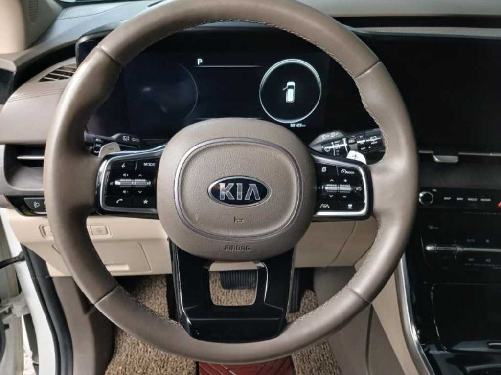 KIA Carnival - Vista 8