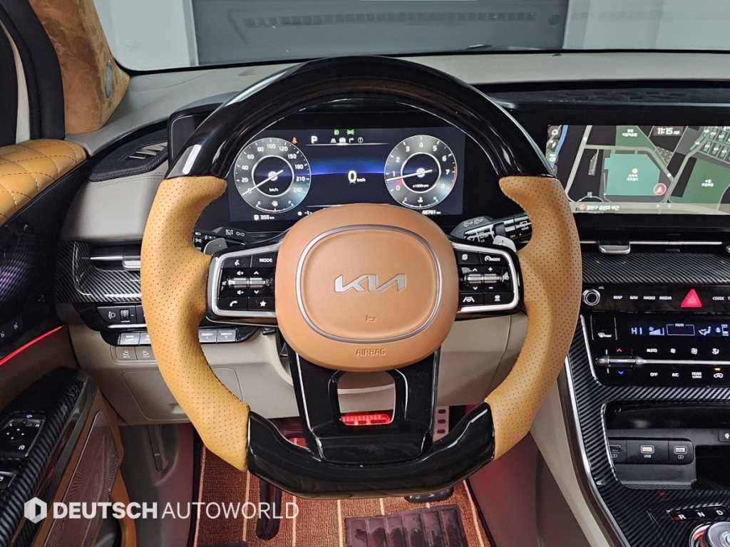 KIA Carnival - Vista 12