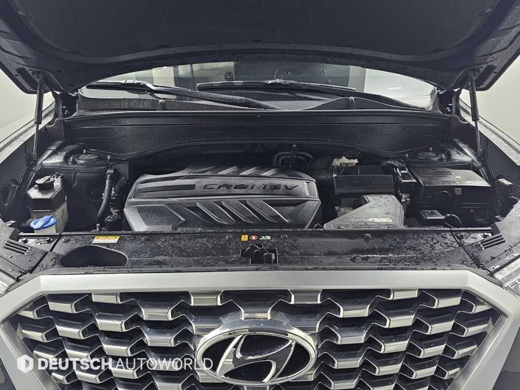 HYUNDAI Palisade - Vista 6
