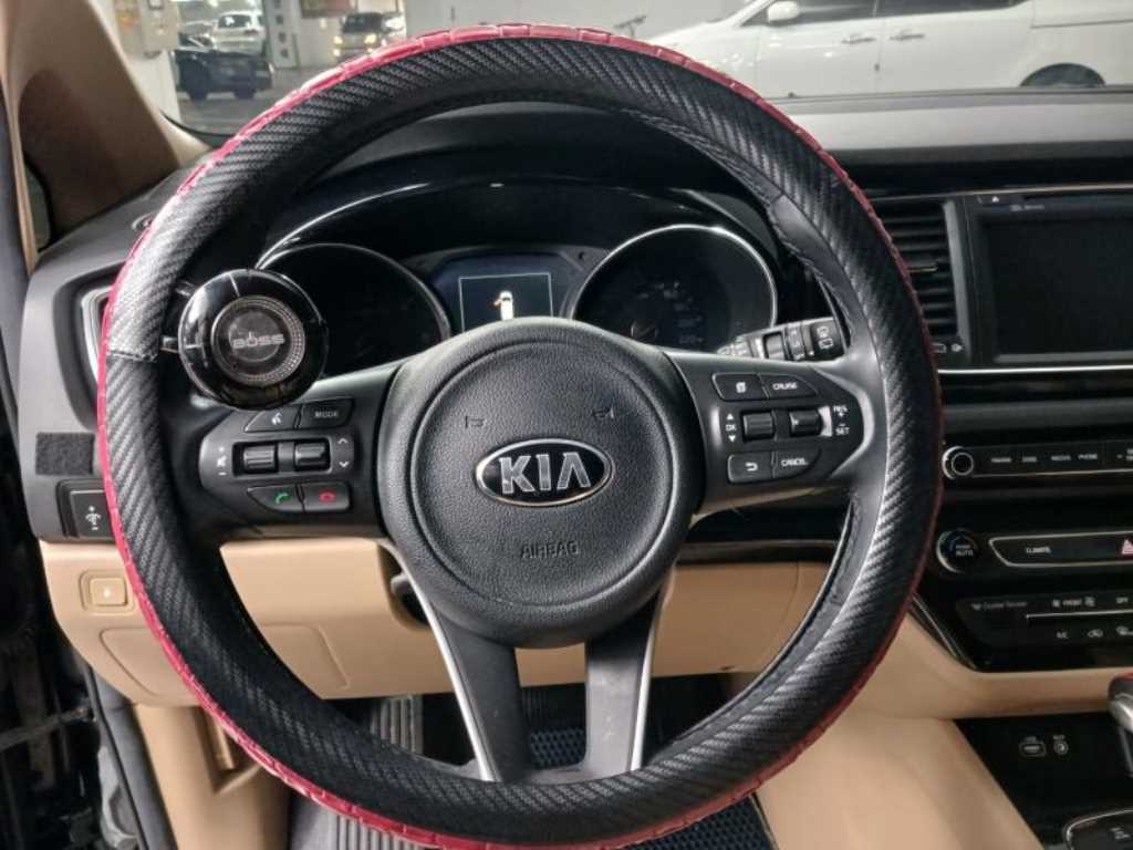 KIA Carnival - Vista 11