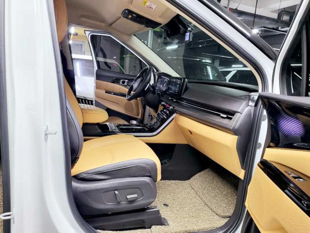 KIA Carnival - Vista 9