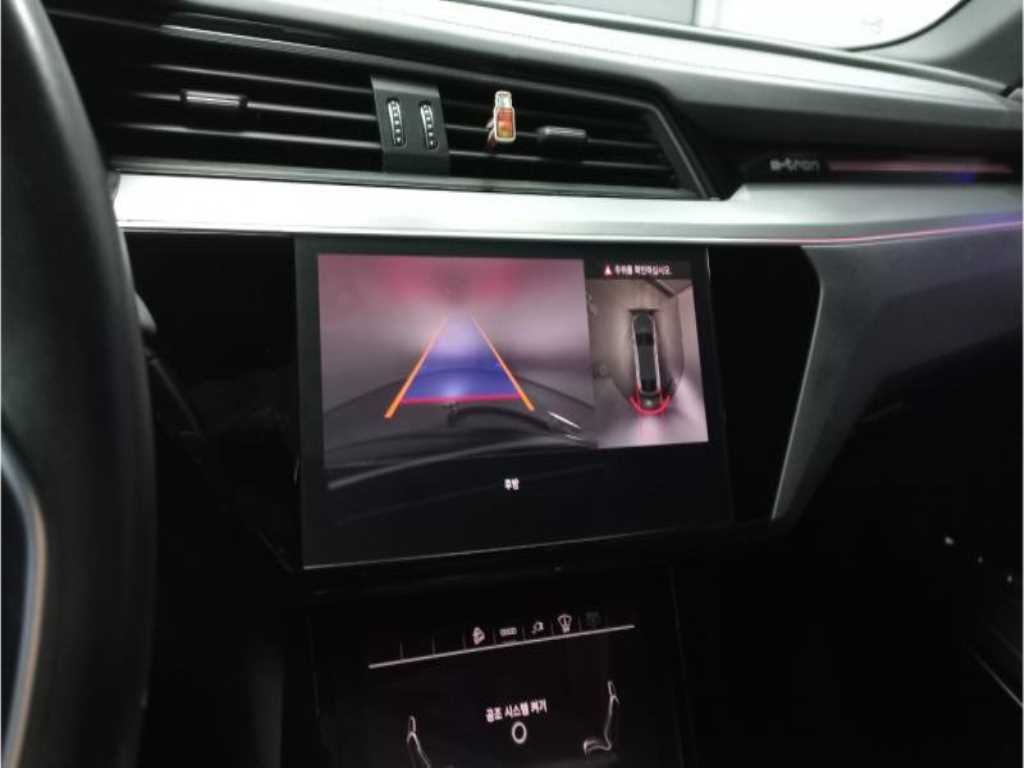 Audi e-Tron - Vista 10