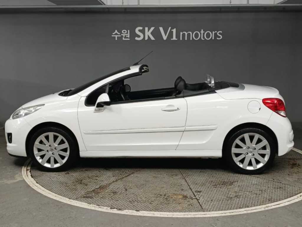 Peugeot 207 - Vista 4