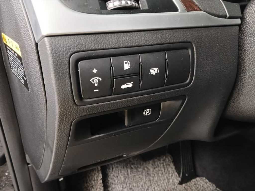 HYUNDAI Genesis - Vista 12