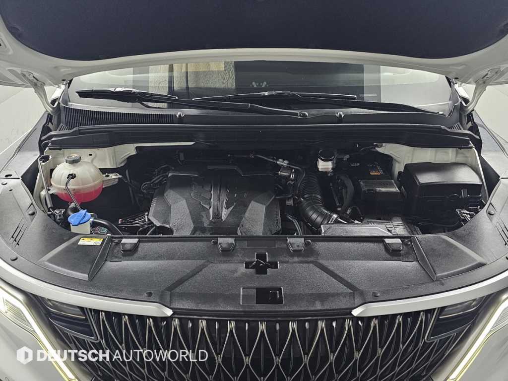 KIA Carnival - Vista 6