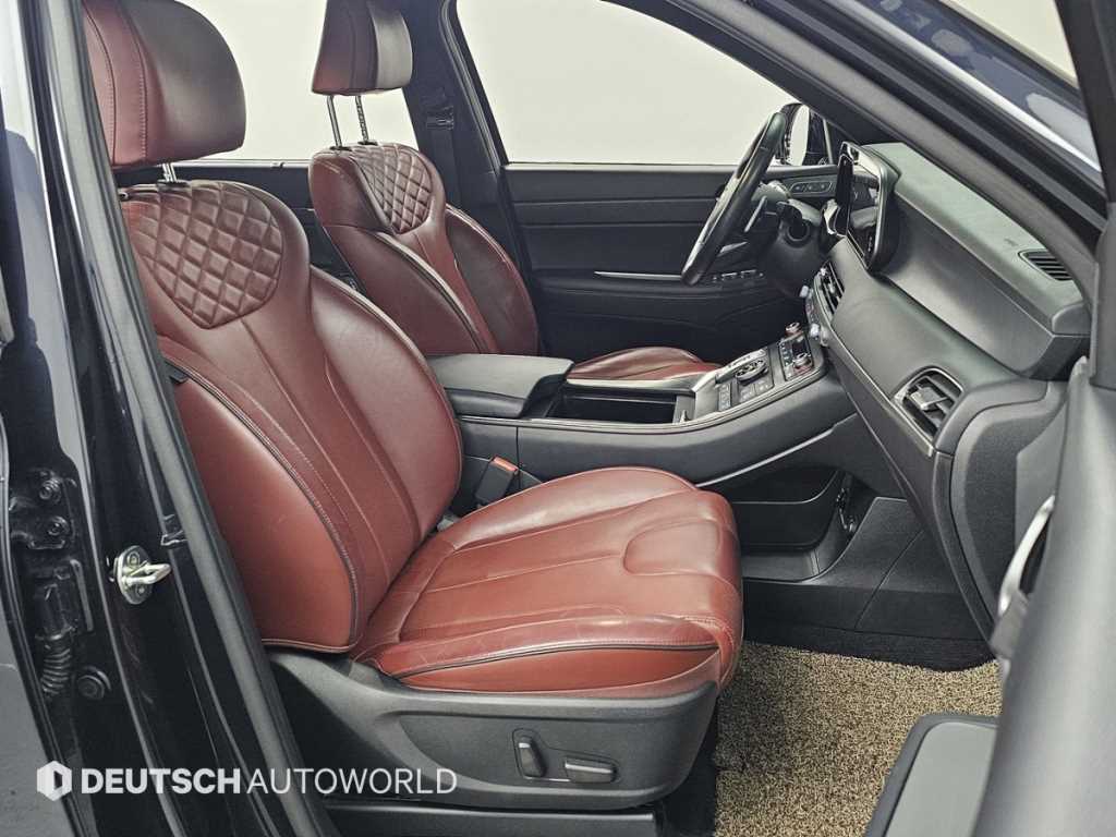 HYUNDAI Palisade - Vista 10