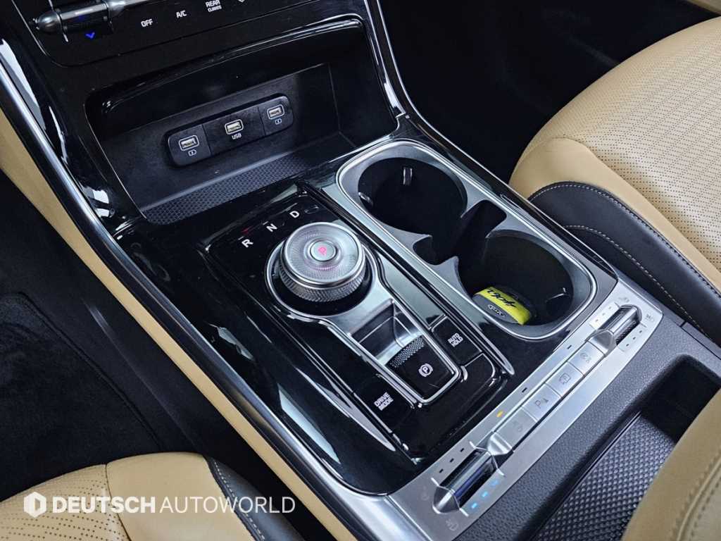 KIA Carnival - Vista 9