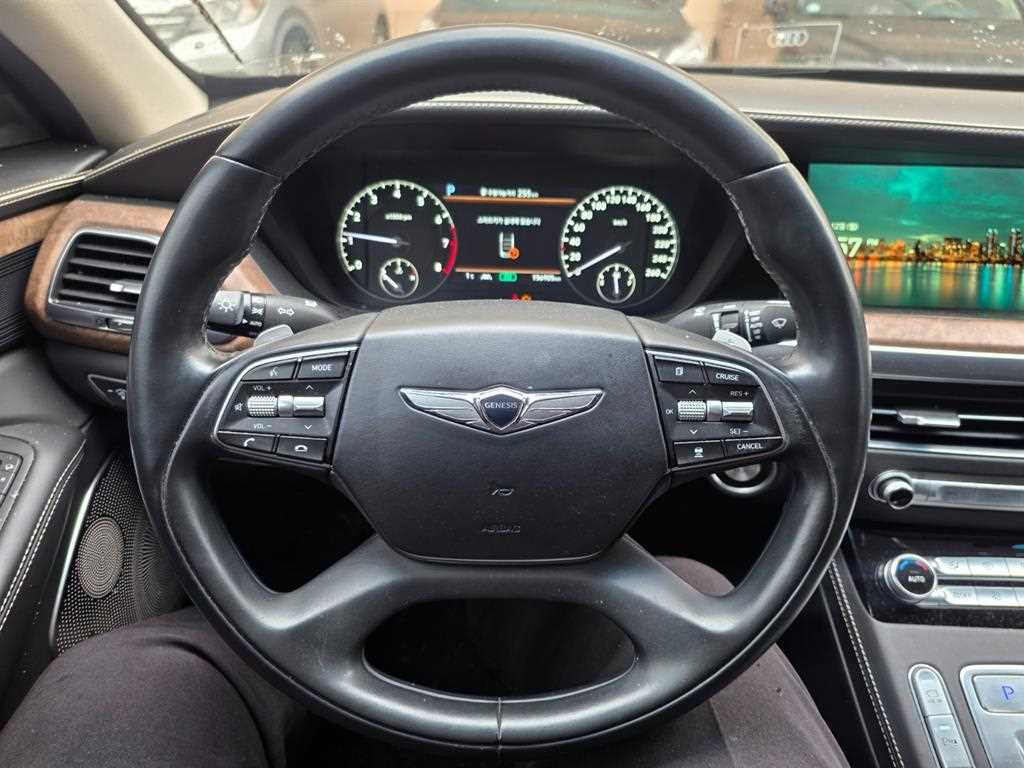 Genesis G90 - Vista 11