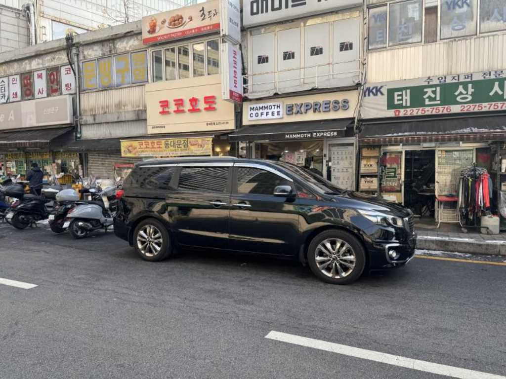 KIA Carnival - Vista 4