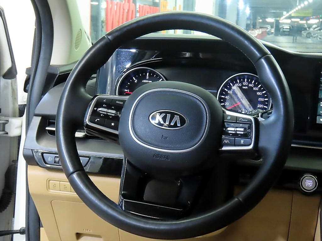 KIA Carnival - Vista 8