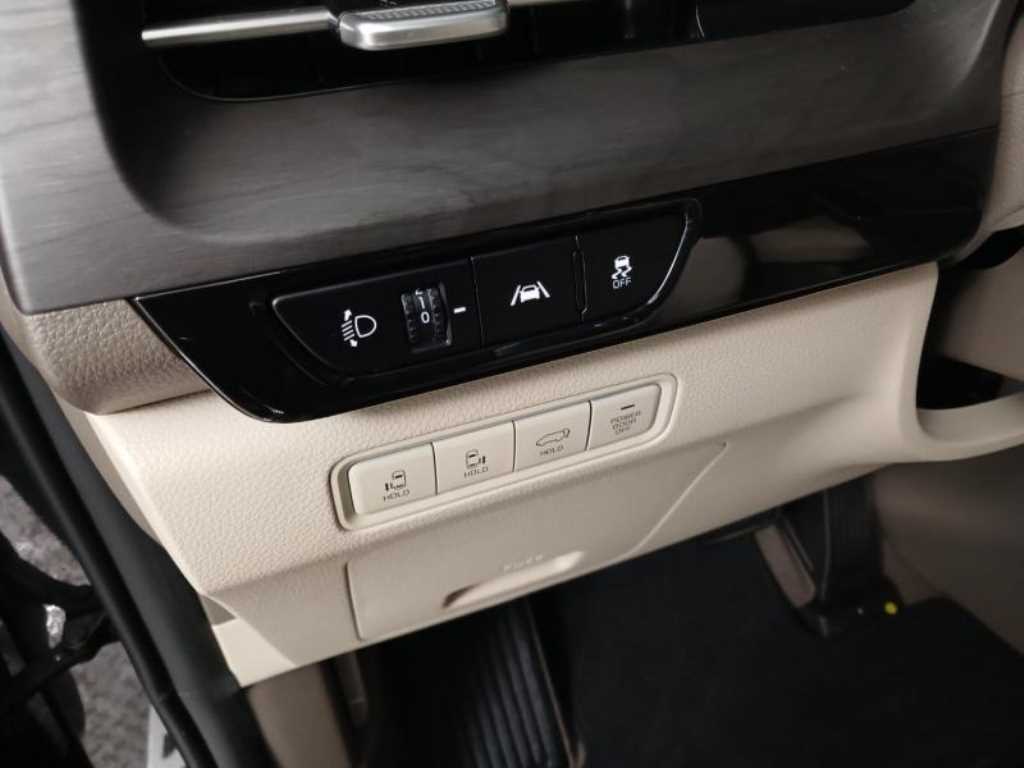 KIA Carnival - Vista 12