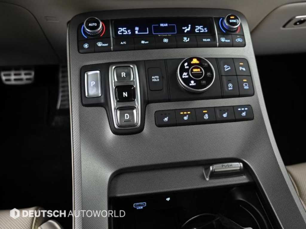 HYUNDAI Palisade - Vista 9