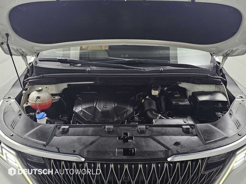 KIA Carnival - Vista 6