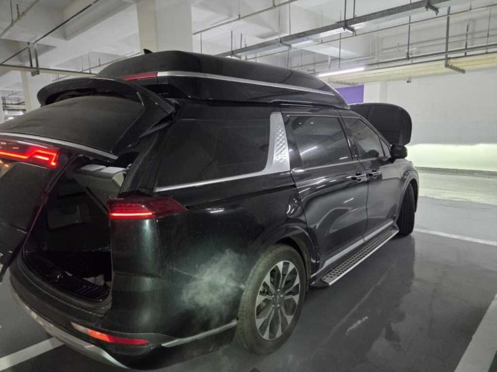 KIA Carnival - Vista 5