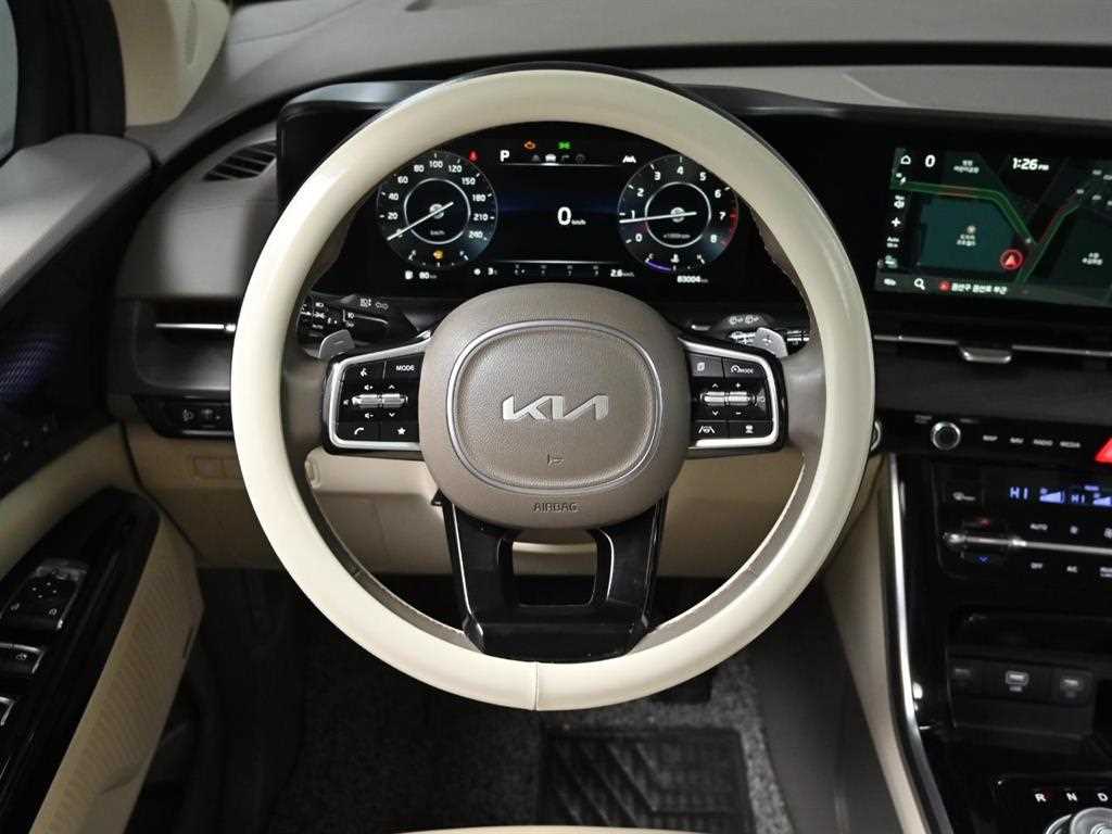 KIA Carnival - Vista 9