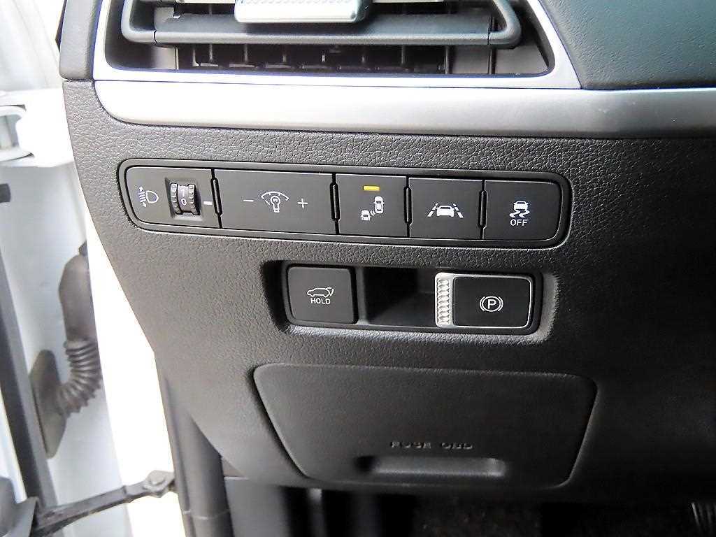 HYUNDAI Palisade - Vista 12