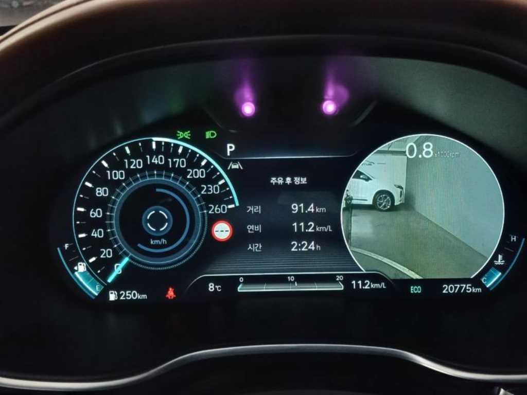 Genesis G80 - Vista 10