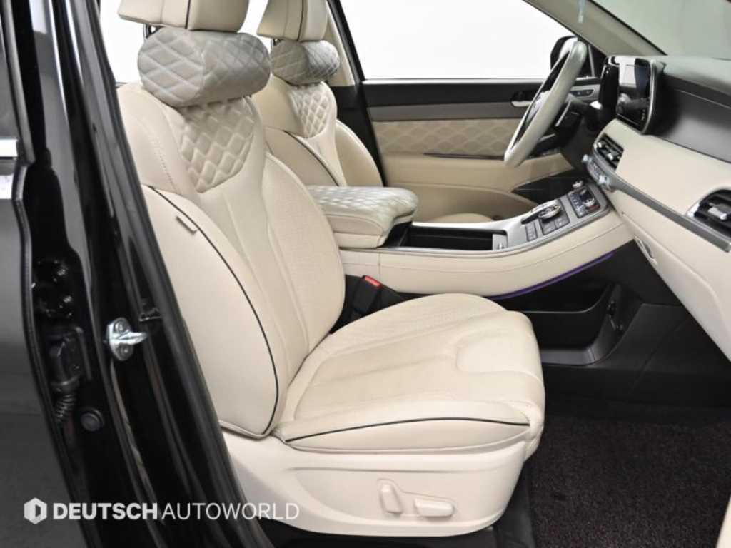 HYUNDAI Palisade - Vista 10