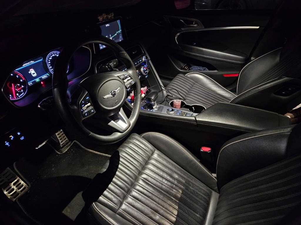 Genesis G70 - Vista 8