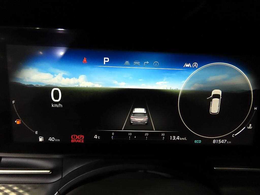 KIA Carnival - Vista 10